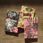 PUNK_CAPA_ANTONIO BIVAR3