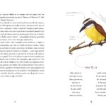 CADERNO_ALADO_CRISTINA PORTO 2