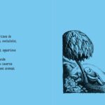 O ESQUISITAO_WANDA GAG 1
