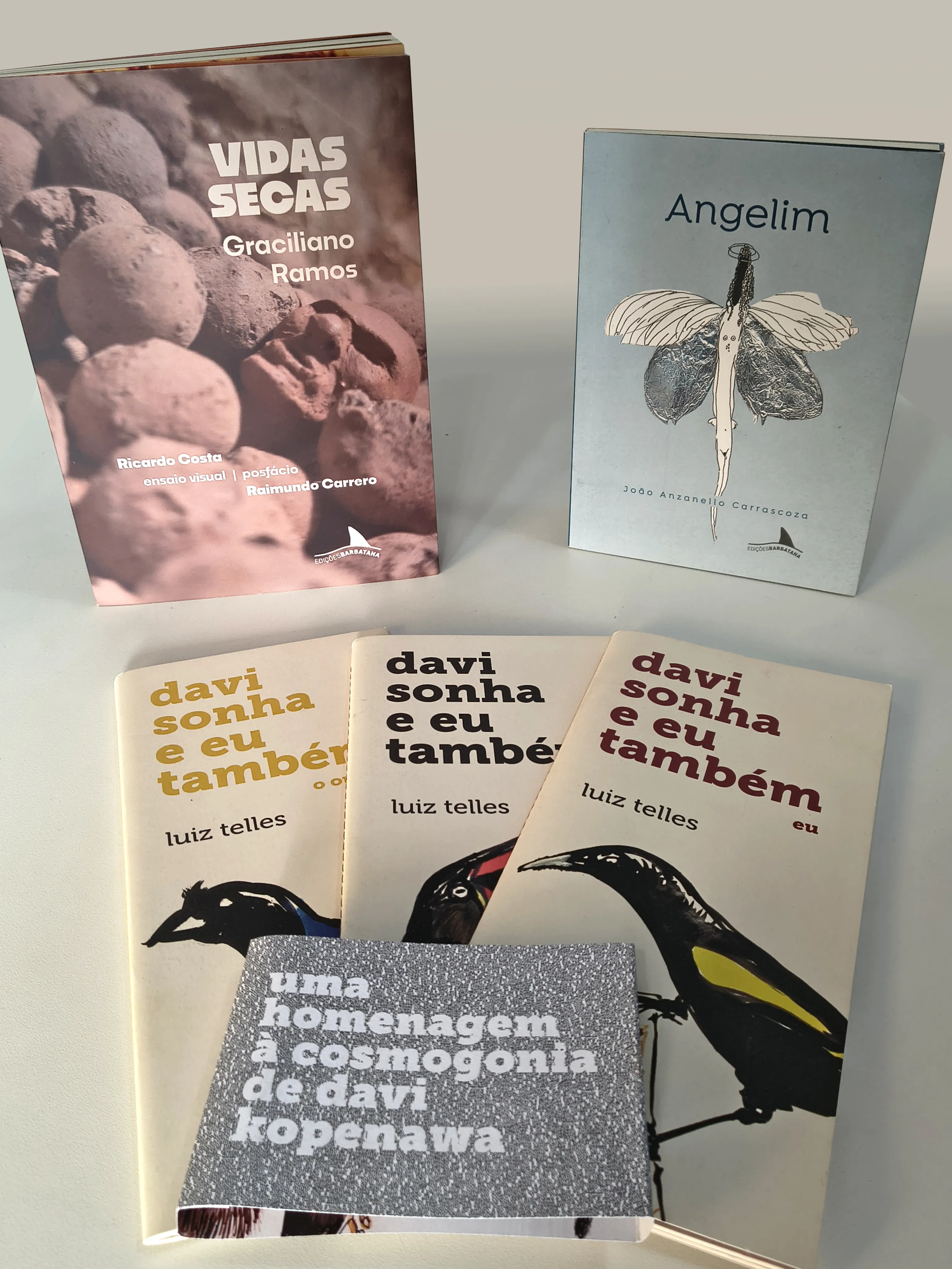 Passar a também lançar literatura brasileira adulta (2025)